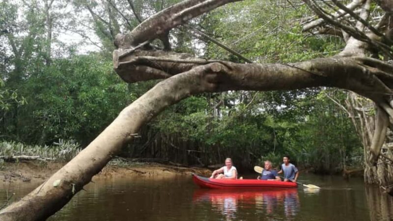 Khao Lak: Sri Phang Nga National Park and Takuapa Tour - A Well-Rounded Day of Adventure and Culture