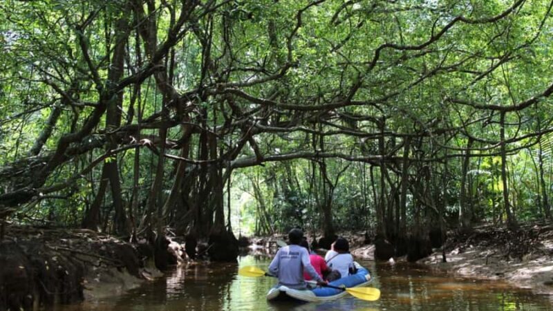 Khao Lak: Sri Phang Nga National Park and Takuapa Tour - Cultural Insights at Takuapa Market