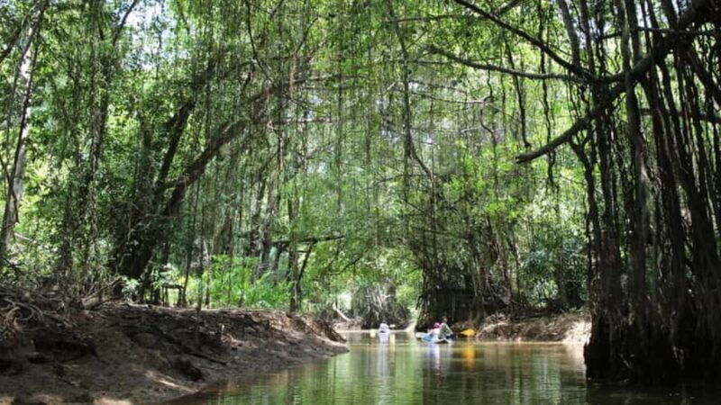 Khao Lak: Sri Phang Nga National Park and Takuapa Tour - The Sum Up