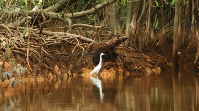 Khao Lak: Sri Phang Nga National Park and Takuapa Tour - FAQ