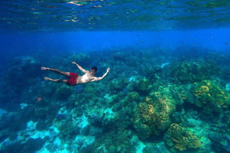 Khao Lak: Surin Islands Snorkeling Tour With Moken Village - Good To Know