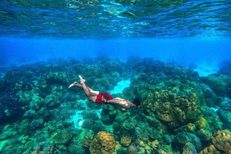 Khao Lak: Surin Islands Snorkeling Tour With Moken Village - Exploring the Surin Islands