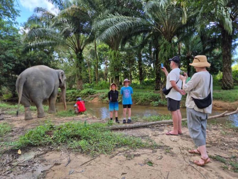Khao Lak: Waterfall,Sea Turtle,Elephant Care,Meal & Transfer - Final Thoughts: Who is This Tour Best For?