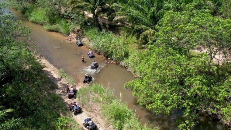 Khao Lak: White Water Rafting, Zipline and Elephant Feeding - Customer Feedback