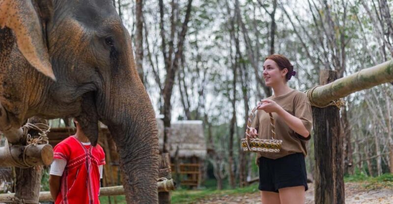 Khao Laks Best: Elephant Sanctuary,Rubber Tapping&Waterfall - Who Is This Tour Best For?