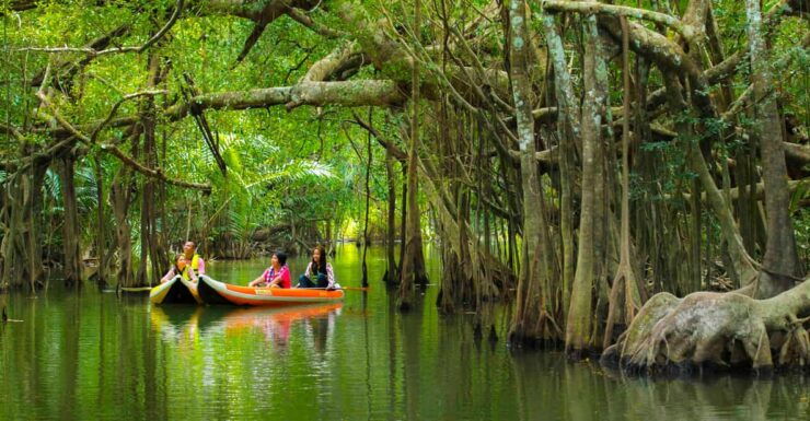Khao Laks Little Amazon: Canoe, Trek & Waterfall Day Trip - Key Points