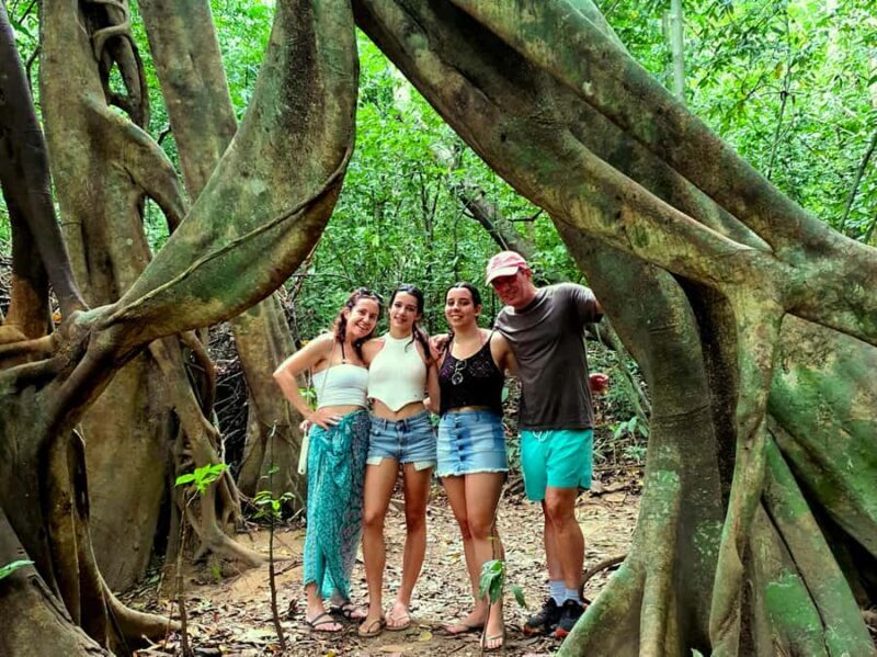 Khao Sok: Cheow Lan Lake, Diamond Cave, Hiking, All Included - Discovering Khao Sok’s Natural Wonders