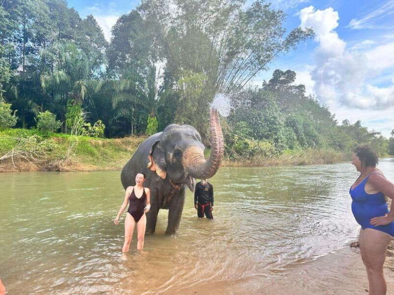 Khao Sok: Elephant Day Care, & Bamboo Rafting Day Tour - Itinerary and Activities