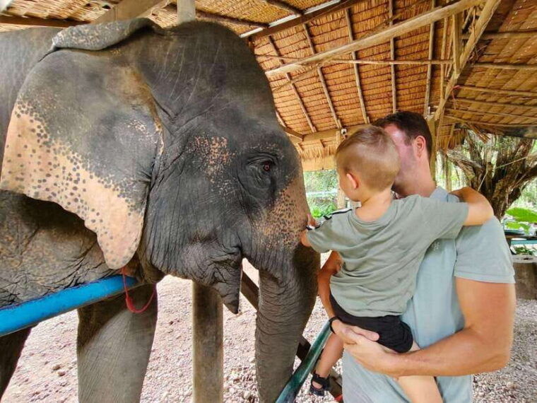 Khao Sok: Elephant Day Care, & Bamboo Rafting Day Tour - Bamboo Rafting on Sok River