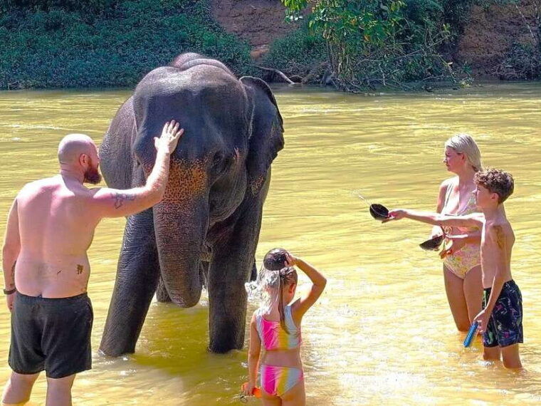 Khao Sok: Elephant Day Care, & Bamboo Rafting Day Tour - Scenic Viewpoints and Cultural Stops