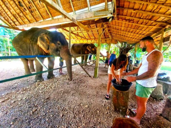 Khao Sok: Elephant Day Care, & Bamboo Rafting Day Tour - Cooking Demonstration and Lunch