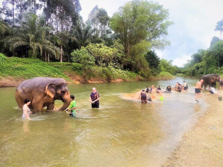 Khao Sok: Elephant Rescue Center With Lunch & Bamboo Rafting - Experience Highlights