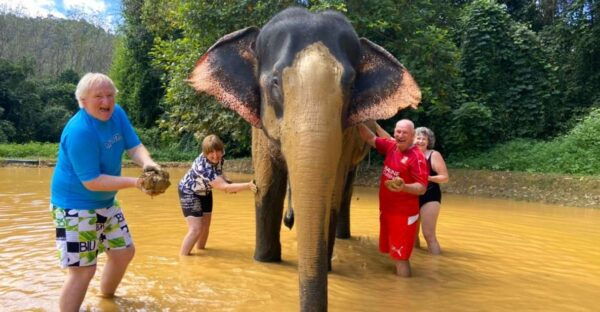 Khao Sok: Elephant Rescue Center With Lunch & Bamboo Rafting - Review Summary