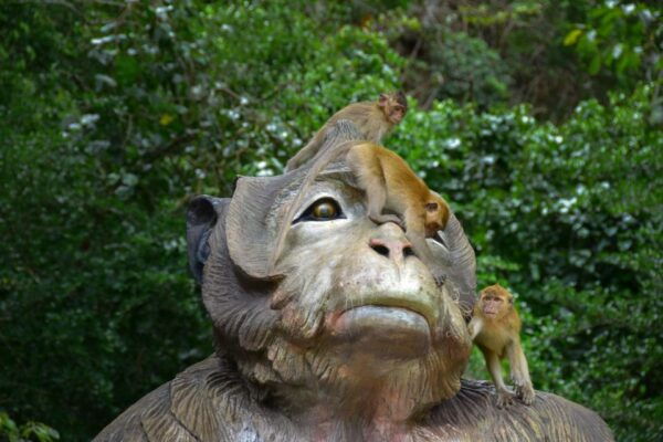 Khao Sok: Elephant Rescue Center With Lunch & Bamboo Rafting - Common Questions