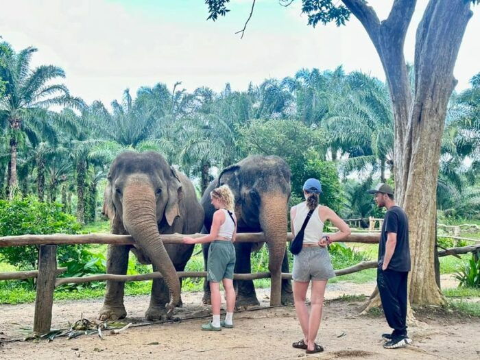 Khao Sok: Ethical Elephant Experience & Nature Walk - Positive Feedback From Travelers
