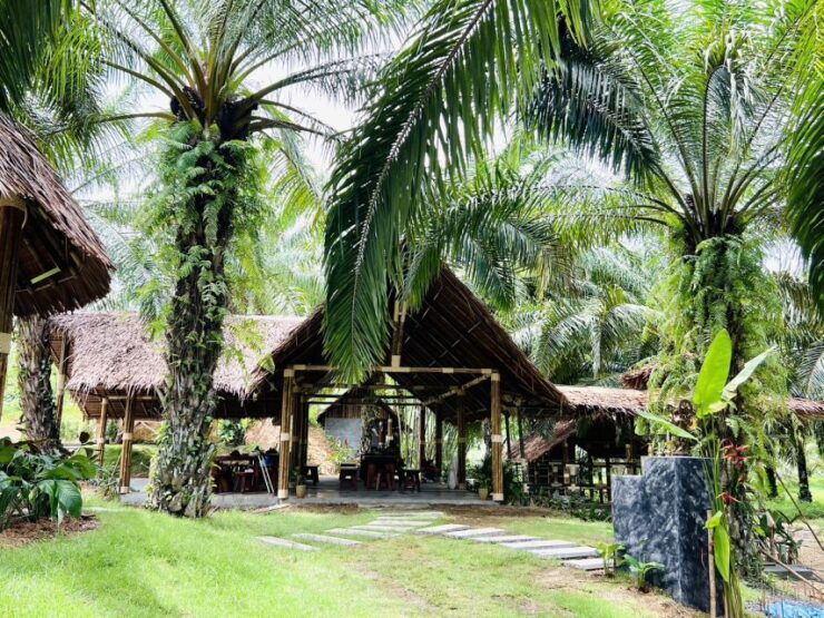 Khao Sok: Ethical Elephant Sanctuary Visit - Experience Highlights