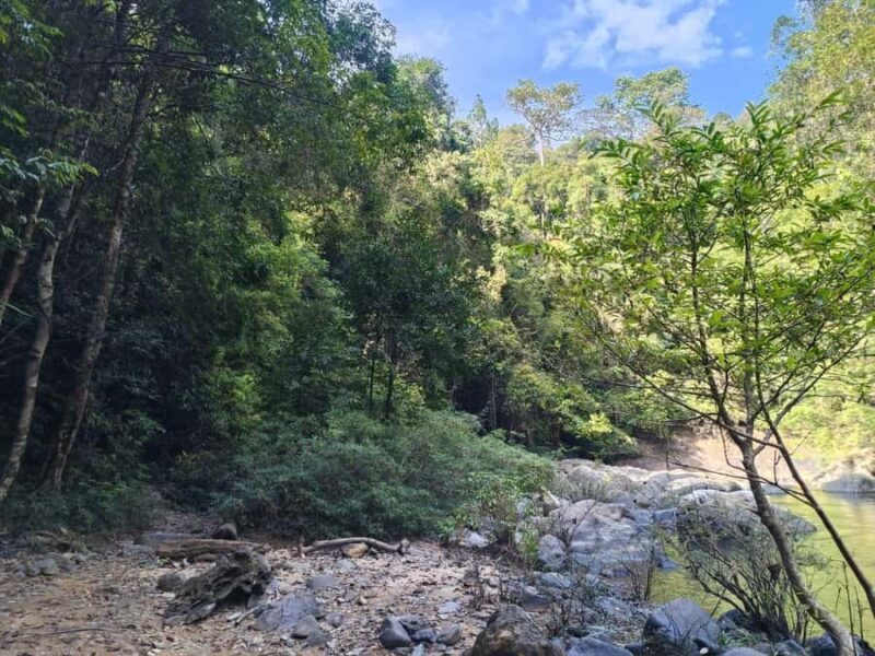 Khao Sok: Full Day Half Night Trek with Lunch & Dinner - Who Is This Tour Perfect For?