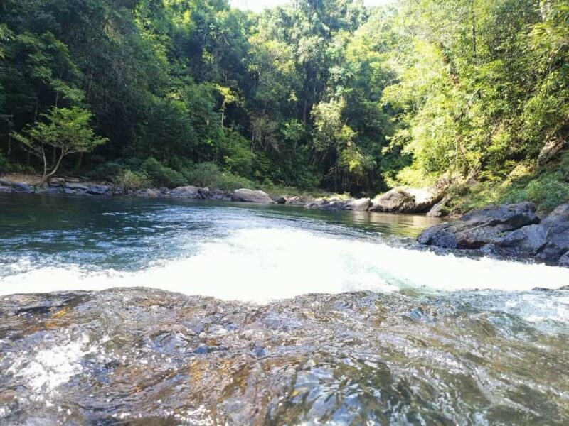 Khao Sok: Full Day Half Night Trek with Lunch & Dinner - FAQ