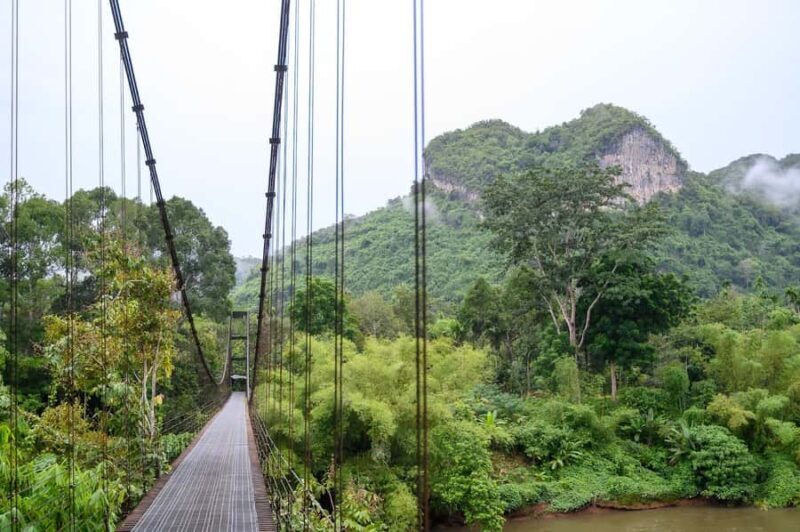 Khao Sok: Khlong Saeng Community Tour with Cooking Class - What to Expect from the Khlong Saeng Community Tour