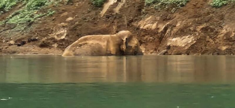Khao Sok National Park: 3-day nature & jungle tour on Cheow Lan Lake - Good To Know