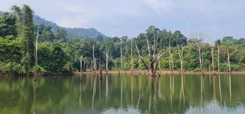 Khao Sok National Park: 3-day nature & jungle tour on Cheow Lan Lake - The Sum Up