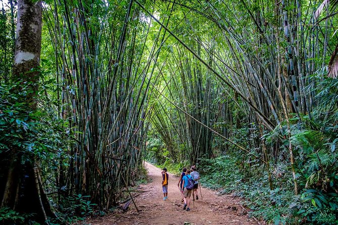 Khao Sok National Park Jungle Safari Full Day Tour From Phuket - Directions