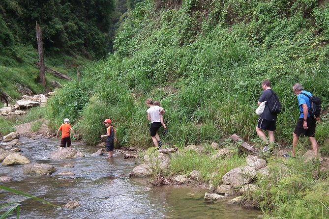 Khao Sok National Park Jungle Safari Full Day Tour From Phuket - Tour Itinerary