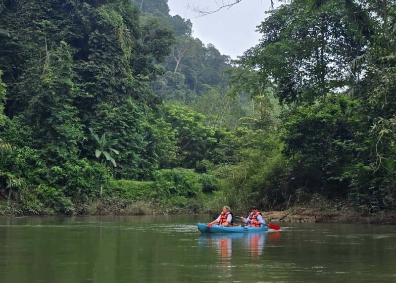 Khao Sok Park: Jungle Kayak Adventure & Wildlife Tour - Visiting Wat Tham Pla Fish Cave Temple