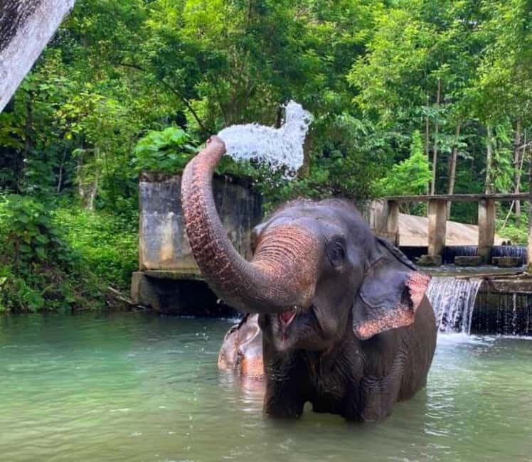 Khao Sok: Private Ethical Elephant Sanctuary Adventure - Authentic Experiences and Honest Reviews