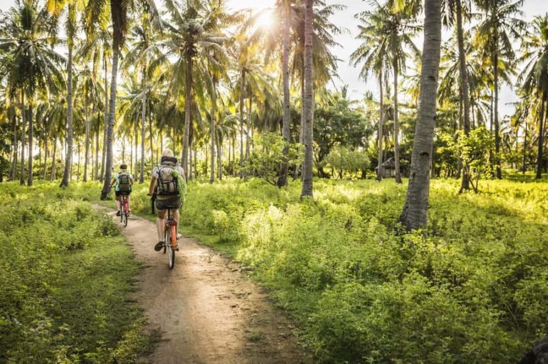 Khao Sok: Private Local Life Bike Tour with Fruit Tasting - Practical Tips for Booking and Enjoying