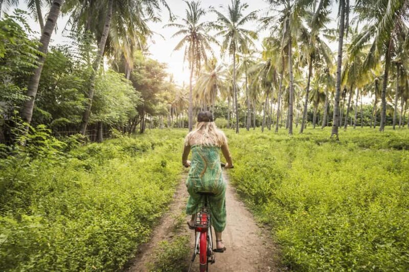 Khao Sok: Private Local Life Bike Tour with Fruit Tasting - The Sum Up