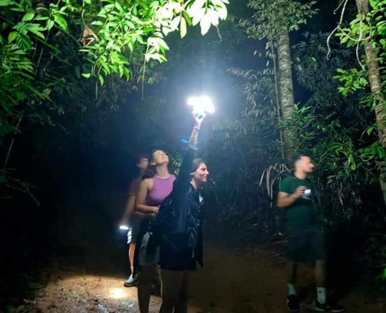 Khao Sok: Private Night Safari Adventure W/ Hotel Transfer - Guide Expertise and Transportation
