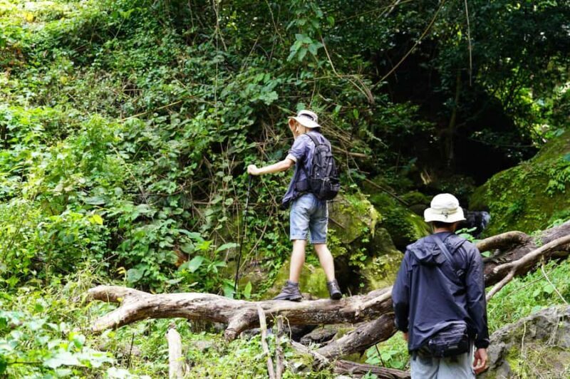 Khao Sok: Sunrise Wildlife Trek with Jungle Breakfast - Why This Tour Offers Great Value