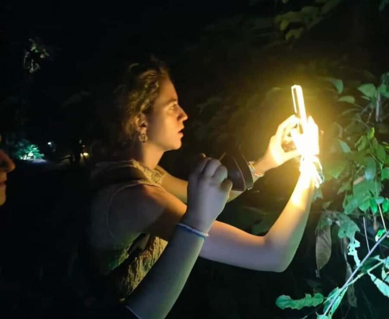 Khao Sok: Sunrise Wildlife Trek with Jungle Breakfast - Final Thoughts