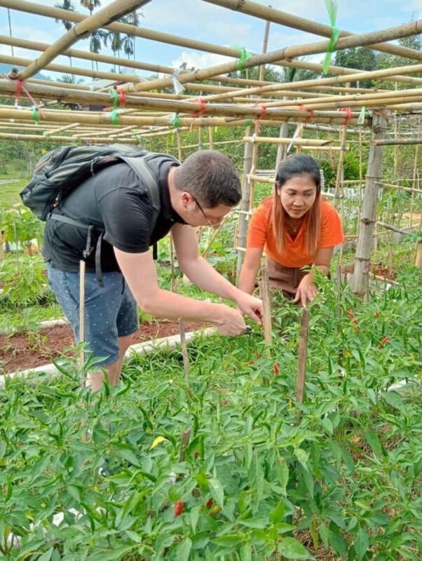 Khao Sok: Thai Cooking Class with Organic Farm and Pickup - Introduction to the Experience