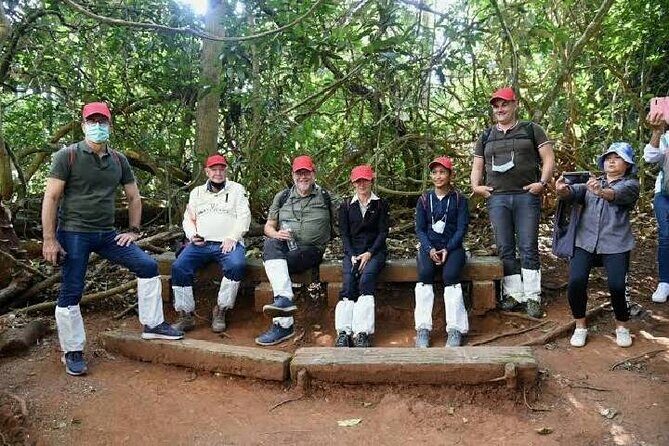 Khao Yai Full Day Tour Haew Narok Waterfall and Jungle Trekking - UNESCO World Heritage Site Viewpoint at KM.30