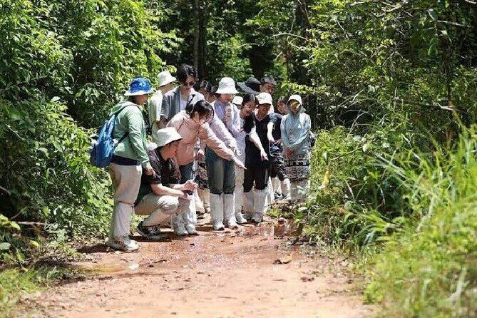Khao Yai Full Day Tour Haew Narok Waterfall and Jungle Trekking - Physical Fitness and Accessibility