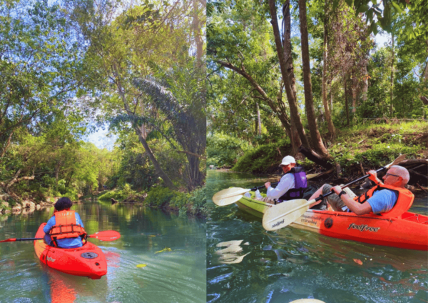 Khao Yai : Highlight Tour With Elephant Riding Activity - Important Considerations