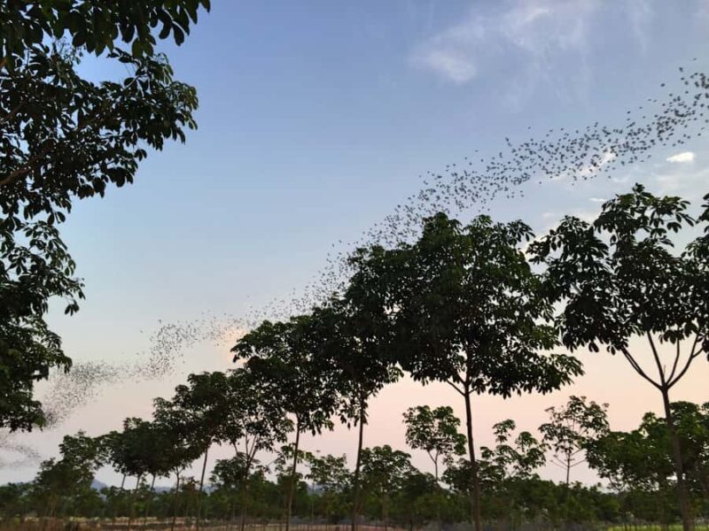 Khao Yai National Park: 2-Day Private Tour from Bangkok - Exploring Khao Yai National Park: A 2-Day Private Adventure from Bangkok