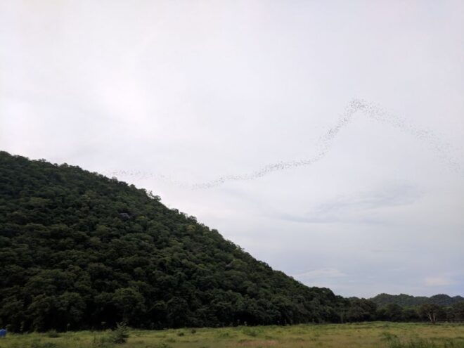 Khao Yai National Park: 2-Day Private Tour From Bangkok - Review Details
