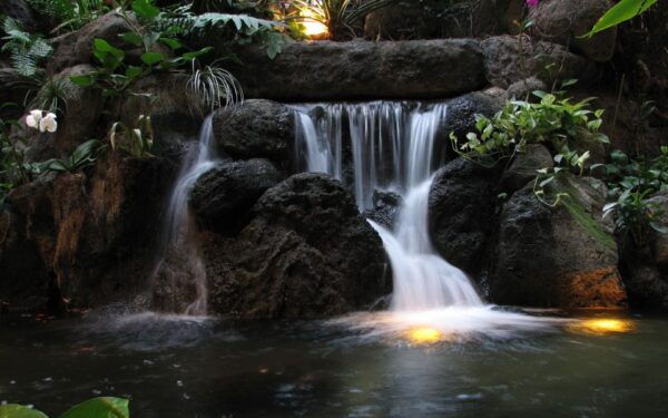 Khao Yai National Park: 2-Day Private Tour From Bangkok - Day 2 Itinerary