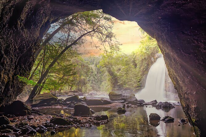 Khao Yai National Park Full Day Tour from Bangkok - An In-Depth Look at the Tour Experience