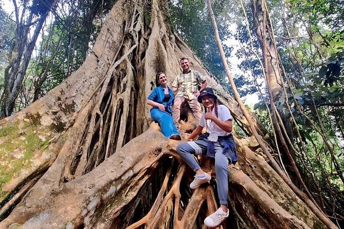Khao Yai National Park - Haew Suwat Waterfall - Jungle Hiking to KM 33 Nong Pak Chi - Haew Suwat Waterfall Experience