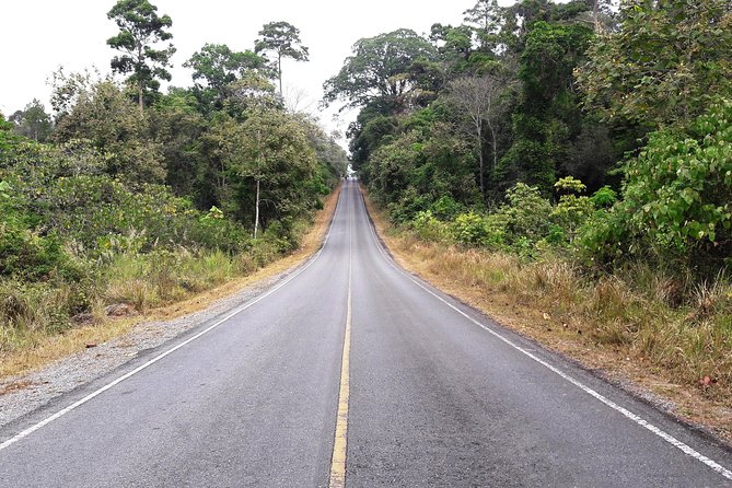 Khao Yai National Park-Haew Suwat Waterfall-Jungle Hiking to KM 33 Nong Pak Chi. - Tour Overview