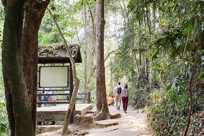 Khao Yai National Park-Haew Suwat Waterfall-Jungle Hiking to KM 33 Nong Pak Chi. - Cancellation Policy