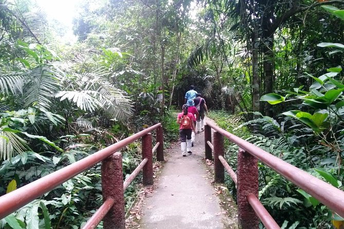 Khao Yai National Park Hiking Day Tour: Haew Narok and Haew Suwat - Wildlife Encounters