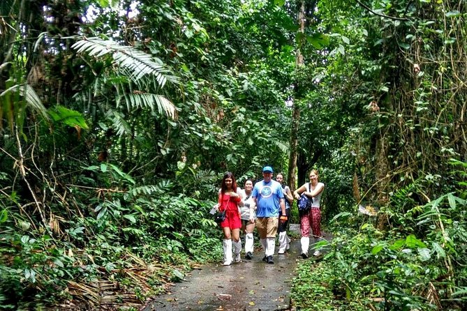 Khao Yai National Park Hiking Day Tour: Haew Narok and Haew Suwat - What to Bring