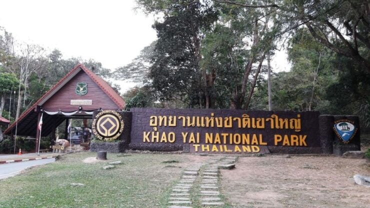 Khao Yai National Park Jungle Trekking Day Trip From Bangkok - Activity Details