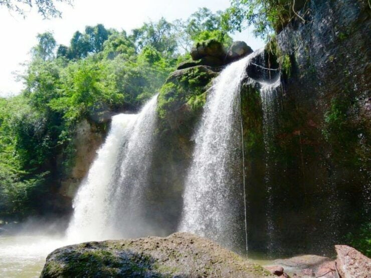 Khao Yai National Park Jungle Trekking Day Trip From Bangkok - Experience
