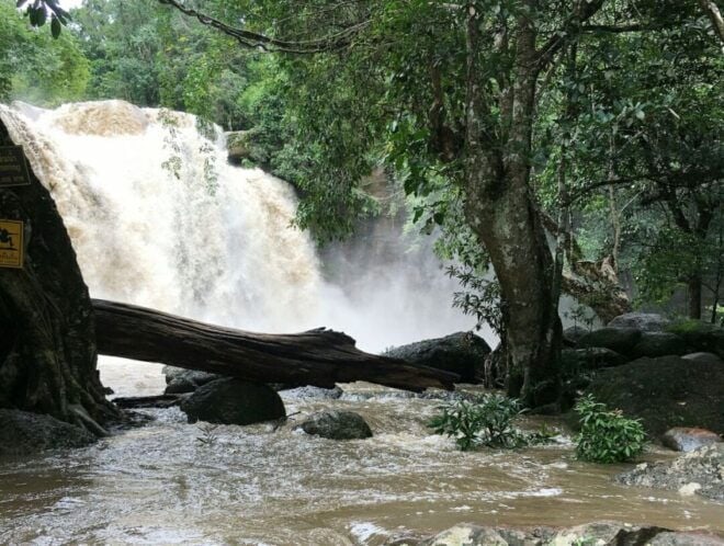 Khao Yai National Park Jungle Trekking Day Trip From Bangkok - Full Description